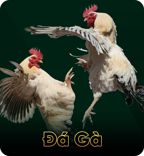 Đá Gà