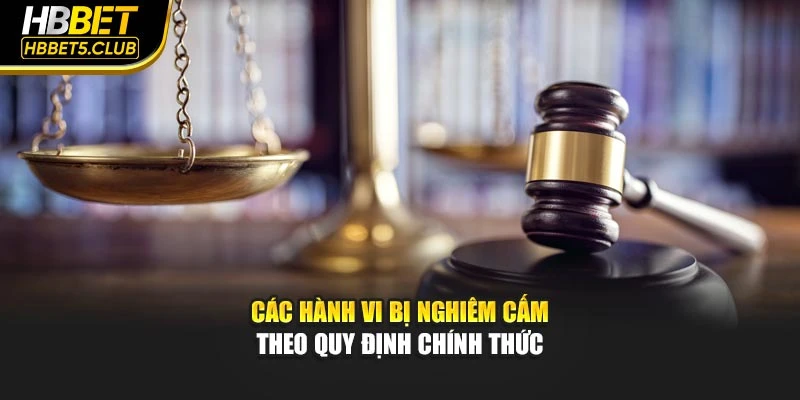 Các hành vi bị nghiêm cấm theo quy định chính thức