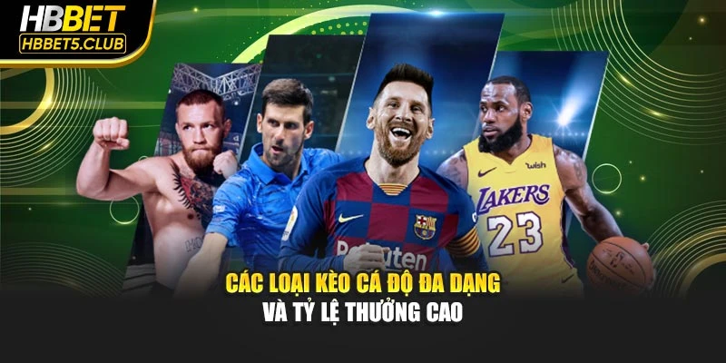 Các loại kèo cá độ đa dạng và tỷ lệ thưởng cao