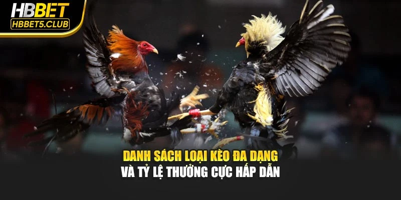 Danh sách loại kèo đa dạng và tỷ lệ thưởng cực hấp dẫn